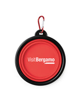 Carica l&#39;immagine nel visualizzatore di Gallery, ciotola
